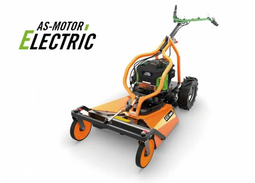 AS-Motor Electric AS 63