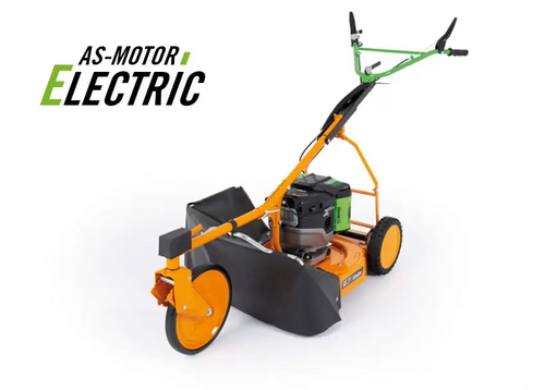 AS-Motor Electric AS 21